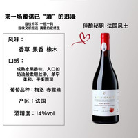 移动端：菲特瓦 赤霞珠干红葡萄酒14度半甜红单支装 750ml