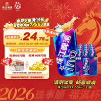 珠江啤酒 inb啤酒 500ml*12罐