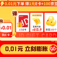 e卡新人充值0.01元得100京豆