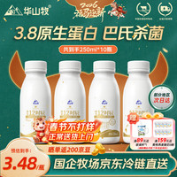 移动端、京东百亿补贴：华山牧 鲜牛奶 250ml*10瓶 3.8g蛋白