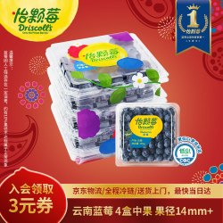 怡颗莓 蓝莓 125g*4盒
