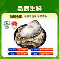 百亿补贴：东上御品 乳山生蚝特大牡蛎 5斤