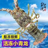 百亿补贴：北海湾 Beihaiwan 北海湾 澳龙波龙鲜冻龙虾 进口批发