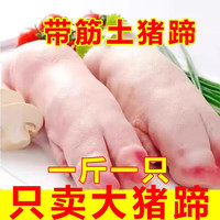 十里馋 新鲜猪蹄冷冻猪脚猪前蹄猪爪子短猪蹄带筋猪蹄烧烤家用猪手黑猪