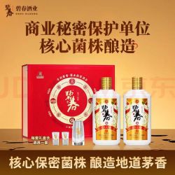 碧春 伍酱香型白酒53度 贵州商务送礼500ml*2瓶礼盒装年货送礼