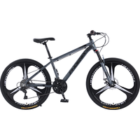 凤凰(Phoenix)全轴承山地自行车成人男女禧玛诺变速碟刹越野赛车青少年单车 黑色/六刀/全轴承/铝合金车架 24英寸(身高150-170左右) 27速凤凰变速+可锁死前叉