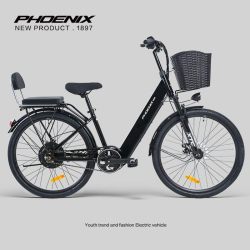 PHOENIX 锂电池电动自行车男女士电动车助力小型新国标电单车