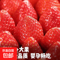 奶油红颜草莓 优选大果单果18g+ 1斤装净重450g+ 现摘现发