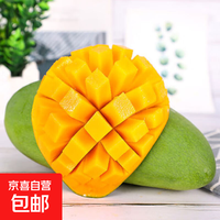 四川 凯特芒净重3斤400克+