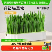 疯狂的主人 猫草盆栽小麦种子育苗盘无土水培化毛草猫薄荷自已种好幼猫咪零食