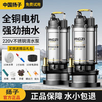 扬子 不锈钢潜水泵 220V 550W 1寸 10米线 10米水带