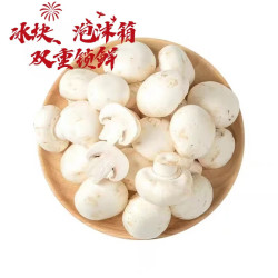 京喜加 新鲜采摘 精品口蘑商超品质 源头直发 净重500g