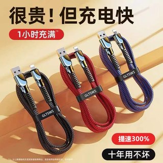  顺旺顺 双头typec 快充数据线