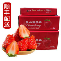 静益乐源 大凉山红颜草莓 净重2.5斤中果礼盒单果13-18g