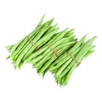 静益乐源 云南四季豆  净重4.5-5斤装