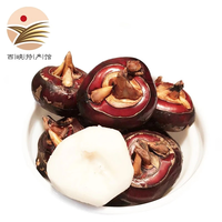 静益乐源 广西马蹄果  2500g装