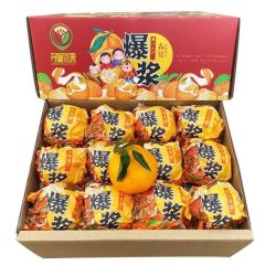 萧鲜生 正宗四川春见耙耙柑  4.5斤装单果 80mm+（一级特大果）