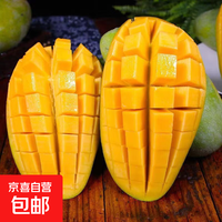 移动端、京东百亿补贴：加 海南小台芒果 60g+ 5斤装