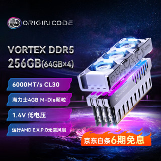OC LAB 台式机内存条 256G(64G×4)套装 DDR5 6000频率 Origin Code炫光 RGB灯条(C30) 银 带独立风扇