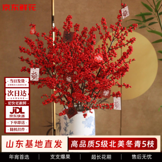 京东鲜花 北美冬青 5枝发财果招财鲜枝 红色