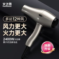 火之凤 吹风机6600X发型师专用发廊理发店家用吹风机推荐性价比高