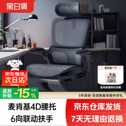 黑白调 P2 Pro 人体工学电脑椅 黑色