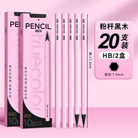 真彩 彩杆黑木铅笔小学生考试专用铅笔高端黑木 HB20支