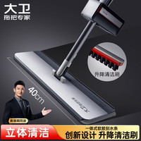 大卫 拖把家用免手洗平板拖干湿两用深层刷污拖布平拖一杆2布 P20