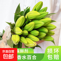 康乃馨 鲜花 云南基地直发 女神节礼物花束 随机混色百合 6个花苞
