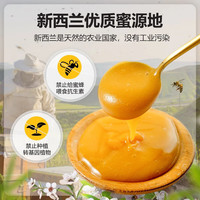 DNZ 新西兰进口 麦卢卡蜂蜜UMF10+500g