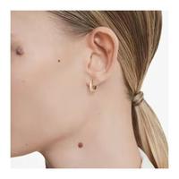 施华洛世奇 38女神节礼物  MATRIX 耳钉耳环轻奢小众送女友老婆生日礼物女  5690669