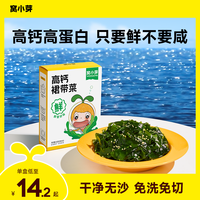 窝小芽 高钙裙带菜佐餐搭档无添加保鲜剂即食品送婴幼儿宝宝食谱SC