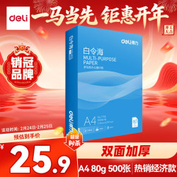 得力 白令海A4打印纸 80g500张单包复印纸 双面加厚 高性价比草稿纸 打印作业7756