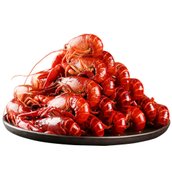 天海藏 清水小龙虾净含量1kg*1盒 3-5钱左右(固形物≥90%)源头直发包邮
