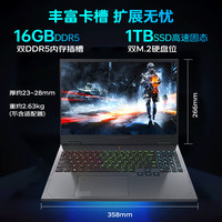 国家补贴：雷神 16英寸i9-13900HX RTX5080  16G单条    300Hz