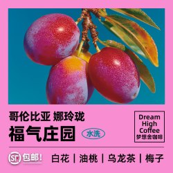 梦想舍 花魁王 福气庄园瑰夏浅烘手冲精品咖啡豆 120g