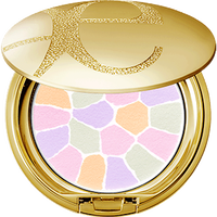 雅莉格丝 蜜粉饼E大饼定妆粉散粉饼粉8.8g小样