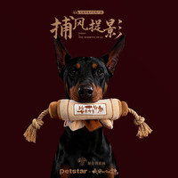 PETSTAR ×《长安二十四计》联名秘卷嬉戏卷轴玩具 藏食啃咬发声狗玩具