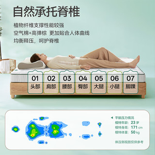  大自然 护脊 山棕床垫