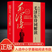 恰同学少年毛泽东诗词解读 朱向前著