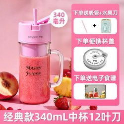 羅婭 罗娅10叶刀碎冰榨汁机小型便携式榨汁杯家用多功能搅拌水果汁奶昔