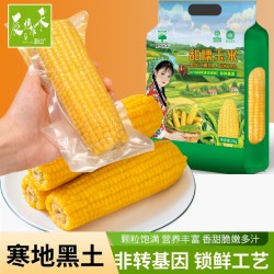 辰旭稼禾 ！东北黄糯玉米250g*8棒