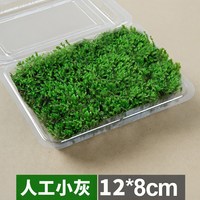 MoDou/摩兜 鲜活 苔藓