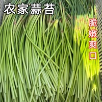 福月安 新鲜脆嫩 蒜苔