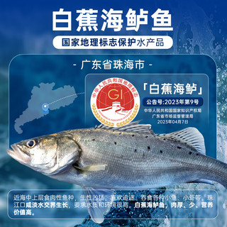  卖鱼七郎 三去开背 海鲈鱼