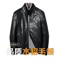 凯撒 冬季男款立领商务纯色绵羊皮革羽绒皮衣男