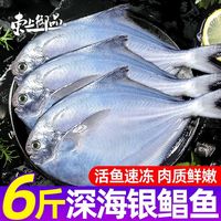  东上御品 新鲜活冷冻 银鲳鱼
