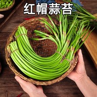 福月安 新鲜 蒜苔