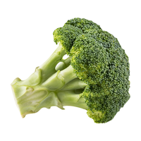  北蔬 耐寒 西兰花苗