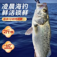 海仙部落 免处理 海鲈鱼